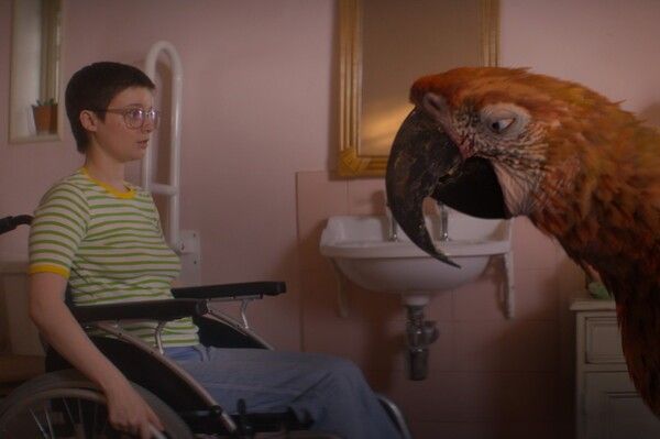 영화 '튜즈데이' 스틸컷. 사진=㈜팝엔터테인먼트