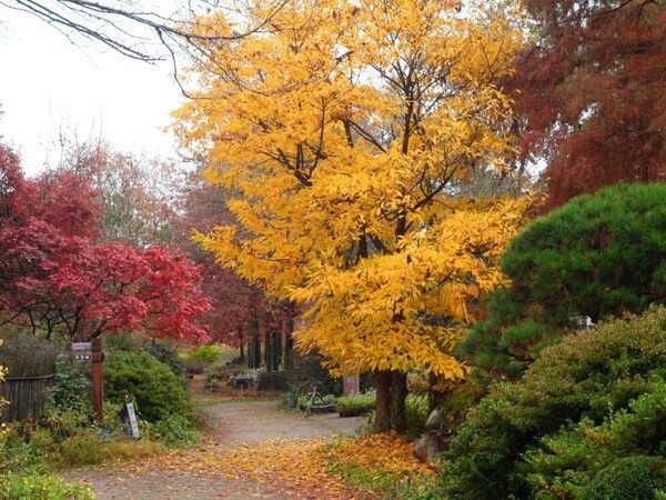 경상북도 포항시 기청산 식물원. 사진=산림청