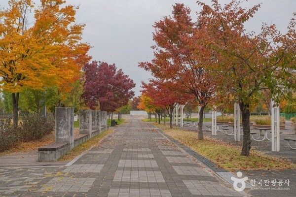 Walking paths and open green spaces at Nanji Hangang Park. Photo courtesy of Korea Tourism Organization.