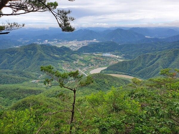 영월 태화산. 사진=산림청