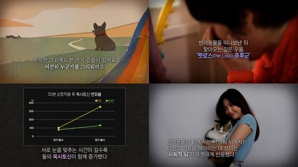 사진=지식채널e