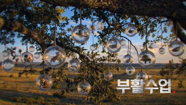 사진=부활수업