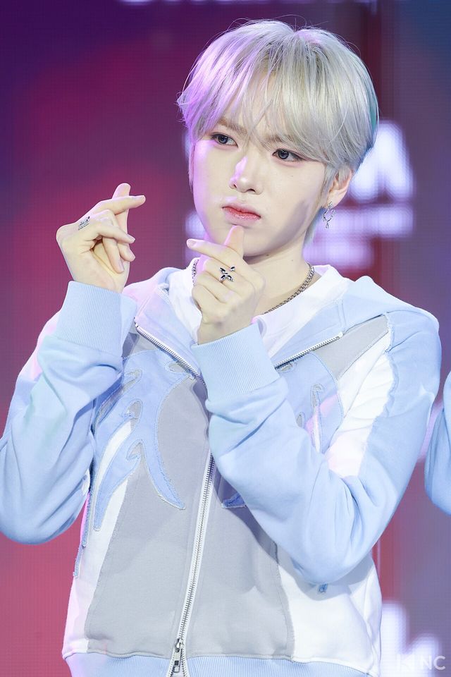 그룹 엔시티위시(NCT WISH) 사쿠야가 11일 오후 서울 성북구 고려대학교 화정체육관에서 진행된 ‘제2회 디 어워즈(D Awards)’ 본식에 앞서 레드카펫을 밟고 있다. 사진=김규빈 기자