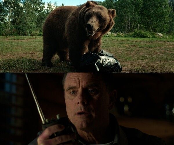 1967 Grizzly Attack. Photo by KINOLIGHTS.