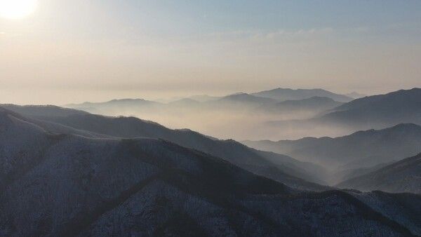 写真=映像アルバム 山