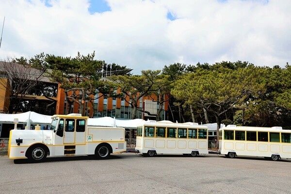 Taegjongdae Danubi Train. Photo by Busan Tourism Organization.