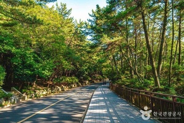 Taegjongdae. Photo by Korea Tourism Organization.