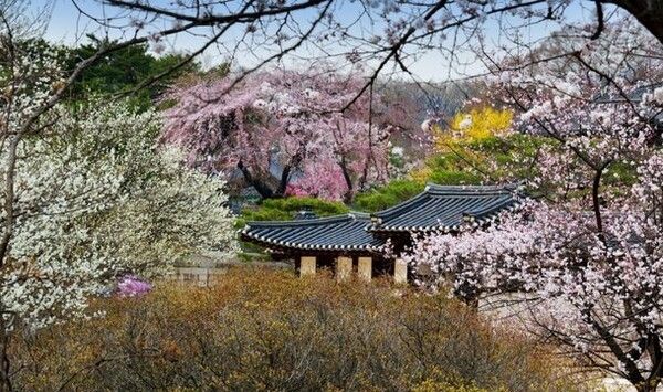 昌慶宮 楽善斎。写真=国家遺産庁