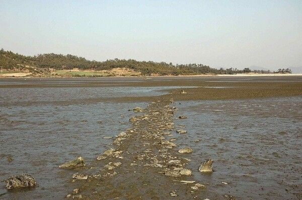 The stone tidal path in Geosari, Palgeumdo, Sinan County, South Jeolla Province. Photo by Korea Heritage Service.