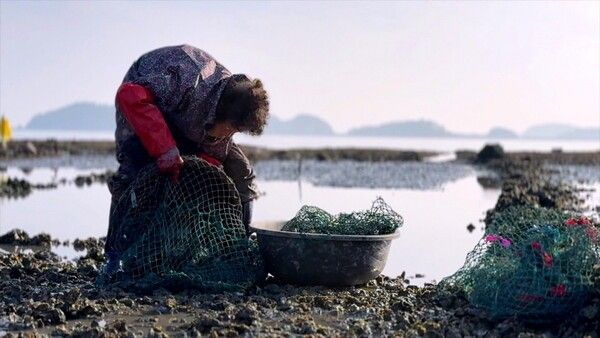 Documentary ON. Photo by KBS1.