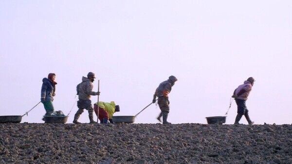 Documentary ON. Photo by KBS1.