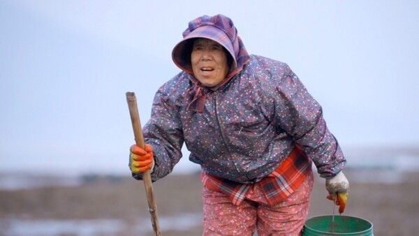 Documentary ON. Photo by KBS1.