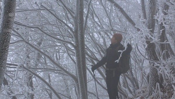 写真=映像アルバム 山