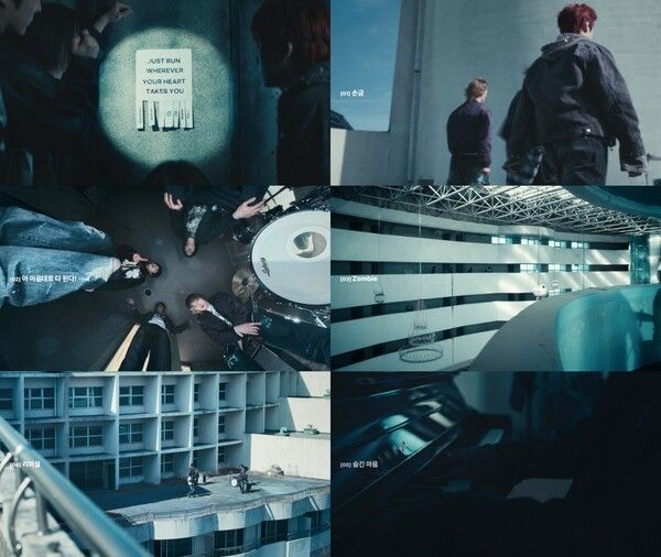 Dragon Pony. Photo by Antenna.