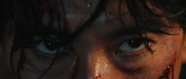 'Wanted'. Photo by Showtimeworks.