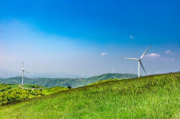 대관령 대관령삼양목장. 사진=평창군청