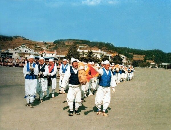 Samcheok Gijul Tug-of-War. Photo by Korea Heritage Service.