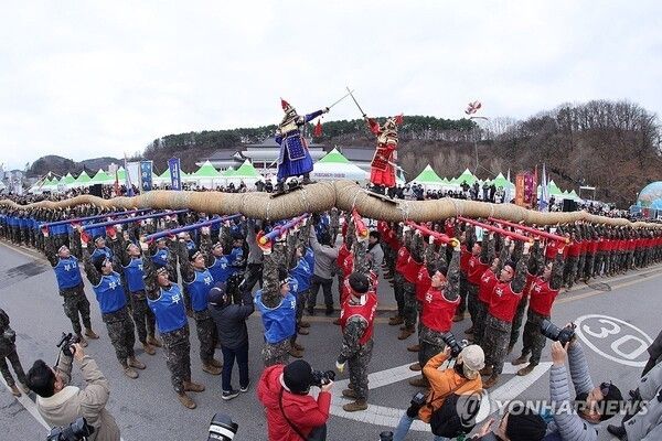 Samcheok Gijul Tug-of-War festival scene. Photo by Yonhap News.