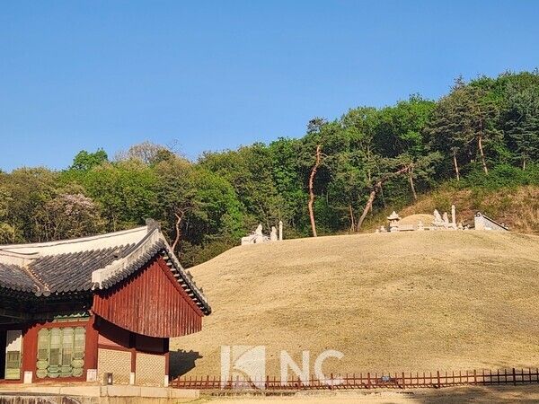 정자각 오른쪽에서 본 홍릉의 모습. 멀리서 봐도 왼쪽 묘터가 비어 있다. 사진=뉴스컬처&nbsp;