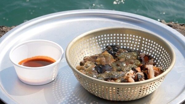 「韓国紀行」。写真=EBS