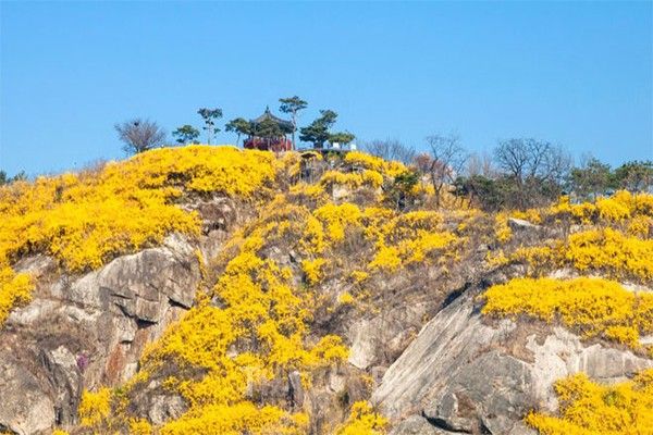 응봉산. 사진=성동구청