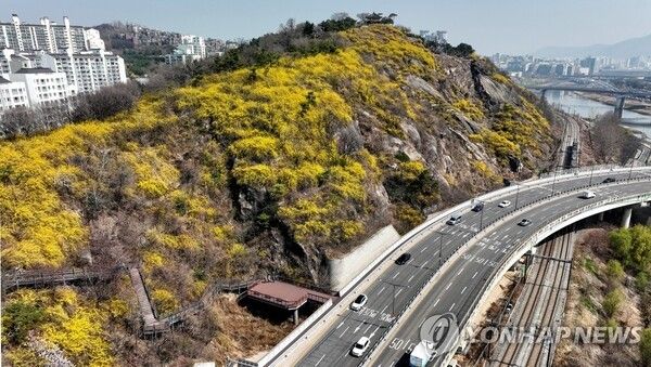 응봉산. 사진=연합뉴스