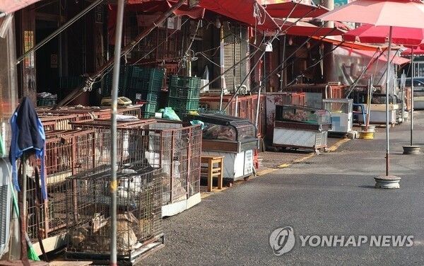 Moran Livestock Market in Seongnam, following an agreement to end dog slaughter and transition vendors’ businesses. Dec. 13, 2016. Photo by Yonhap News.