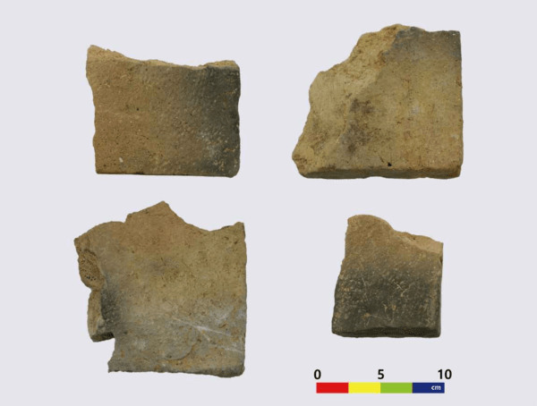 교촌리 벽돌무덤 출토 분석대상 벽돌. 사진=국립문화유산연구원