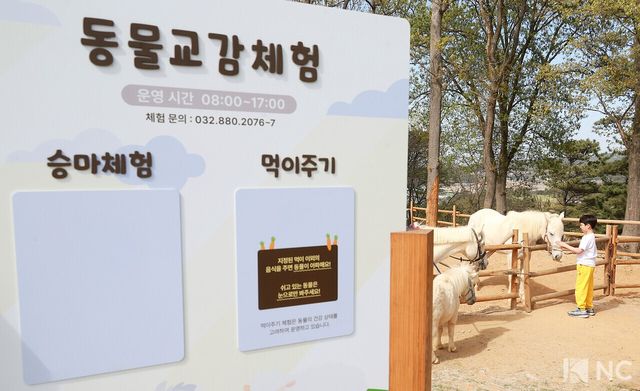 더헤븐리조트 내 위치한 말들의 천국. 사진=김규빈 기자