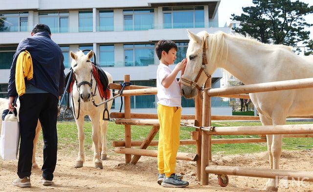 더헤븐리조트 내 위치한 말들의 천국. 사진=김규빈 기자