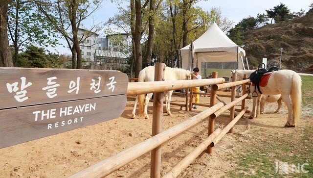더헤븐리조트 내 위치한 말들의 천국. 사진=김규빈 기자