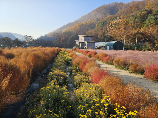양평 양조장. 사진=농림축산식품부