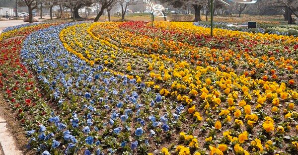 사진='2026 태안국제원예치유박람회’