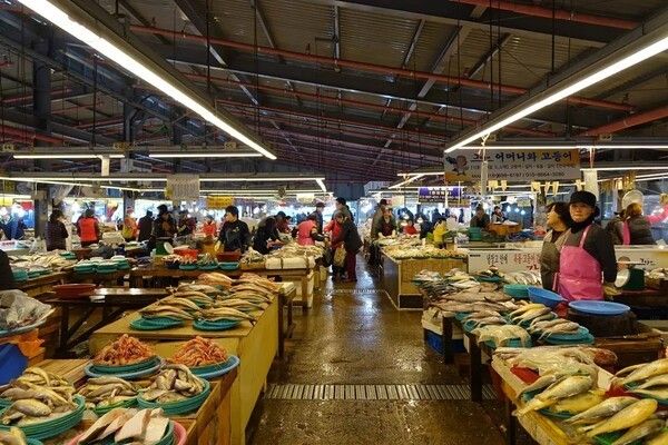 제주시민속오일시장 전경. 사진=제주관광공사 홈페이지