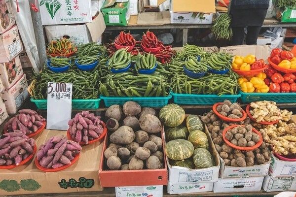 제주시민속오일시장 전경. 사진=제주관광공사 홈페이지