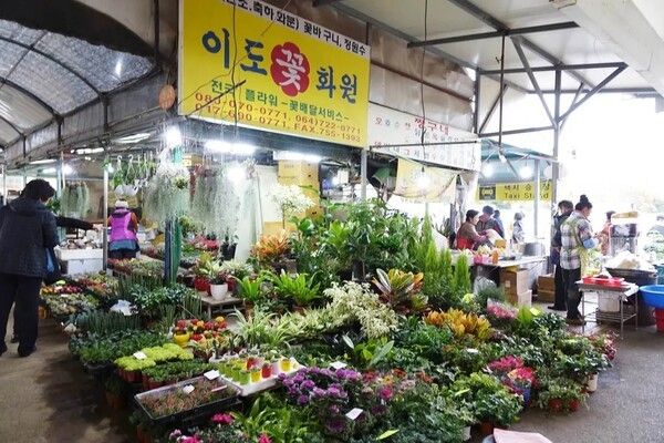 제주시민속오일시장 전경. 사진=제주관광공사 홈페이지