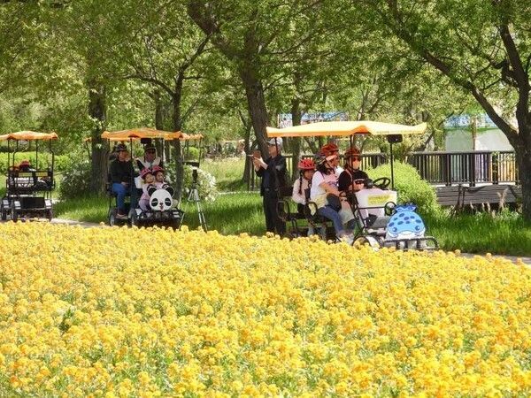 함평나비대축제. 사진=대한민국 구석구석