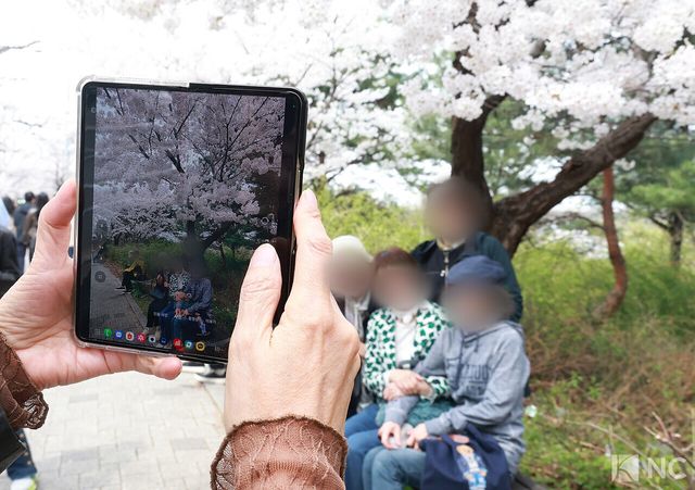 여의도 봄꽃축제가 한창인 3일 시민들이 서울 영등포구 여의도 윤중로에서 벚꽃길에서 기념 사진을 찍고 있다. 사진=김규빈 기자