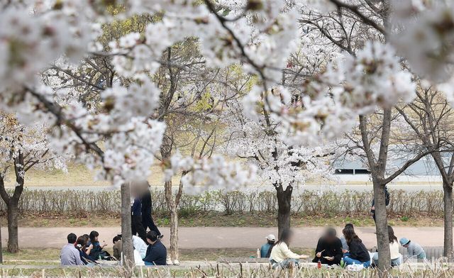 여의도 봄꽃축제가 한창인 3일 시민들이 서울 영등포구 여의도 한강공원에서 봄을 즐기고 있다. 사진=김규빈 기자