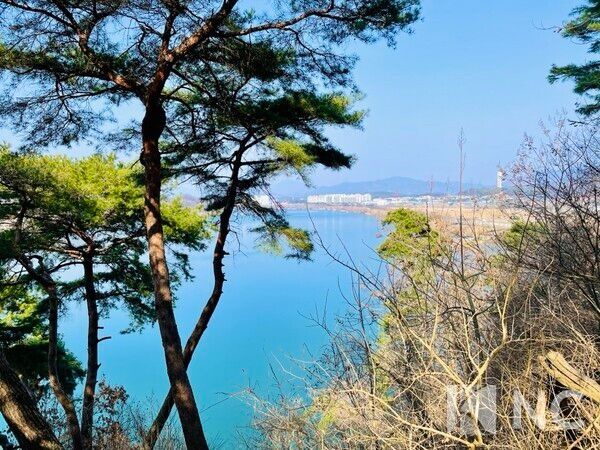 탄금대 옆 '열두대'에서 보이는 남한강 전경=뉴스컬처