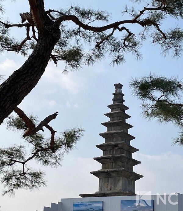 충주 탑평리 칠층석탑(국보 제6호) 전경. 사진=뉴스컬처