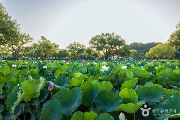 Photo by Korea Tourism Organization.
