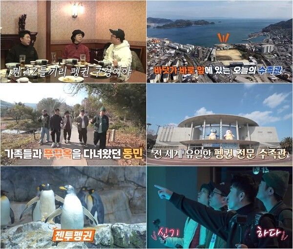9일 방송되는 '독박투어4' 장면. 사진=채널S, SK브로드밴드