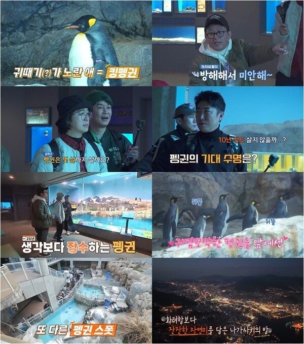 9일 방송되는 '독박투어4' 장면. 사진=채널S, SK브로드밴드