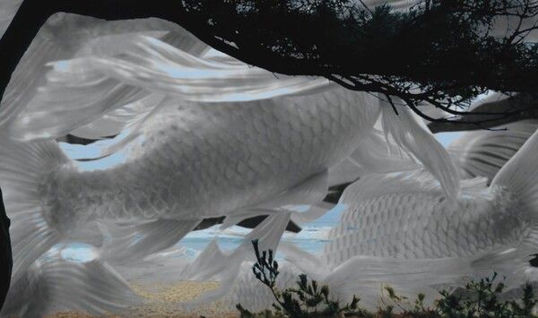 명준희, 〈Fish Beneath the Pine _ 소나무 아래의 물고기〉, 2026, 파인아트지에 아카이벌 피그먼트 프린트, 850 × 360 mm. © 명준희. 이미지 제공_ 작가