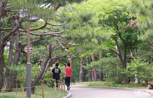 서울남산골한옥마을 전경. 사진=김규빈 기자