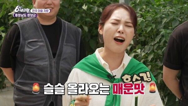사진=6시 내고향