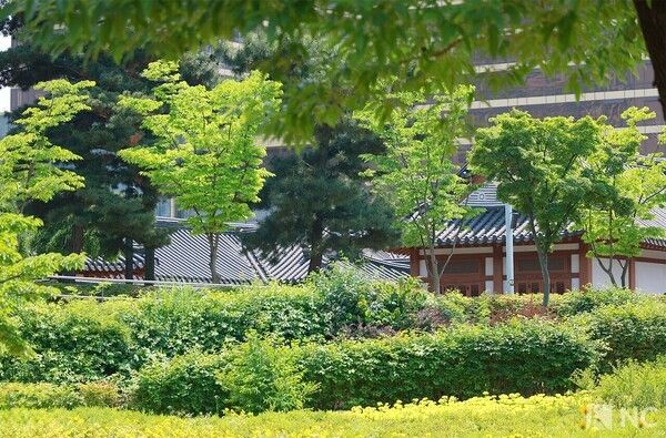 Songdo Central Park. Photo by Reporter Kim Gyubin.