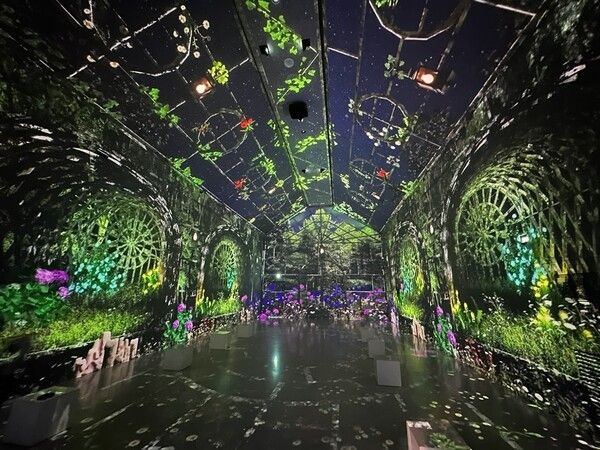 Gotjawal: Time of Breath exhibition. Photo by Jeju Museum of Contemporary Art.