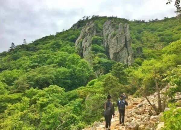 달마고도. 사진=해남군